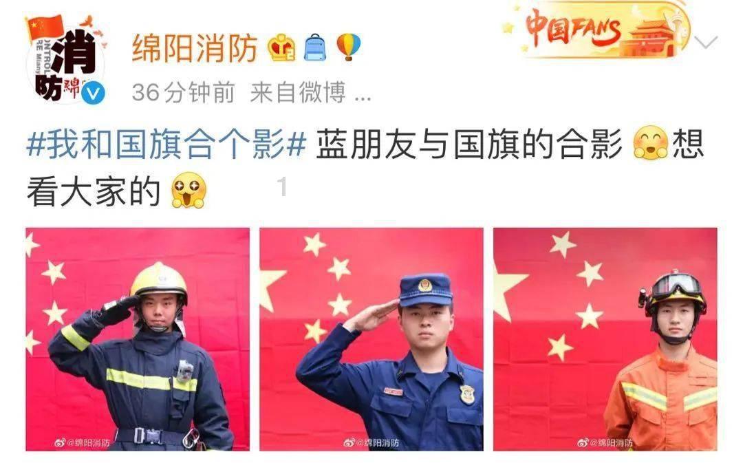 有趣的动物拼图